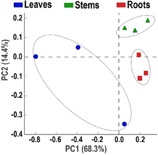 Characterization and functional analysis of microbial communities in Bletilla striata