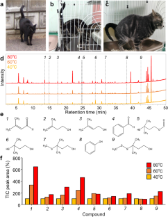 Sprayed Urine Emits a Pungent Odor due to its Increased Adhesion to Vertical Objects via Urinary Proteins Rather Than to Changes in its Volatile Chemical Profile in Domestic Cats