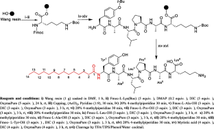 Synthesis and Characterization of Novel Amphiphilic Peptide and its Application in the Development of Niosomal Formulation as a Drug Delivery Carrier for Curcumin