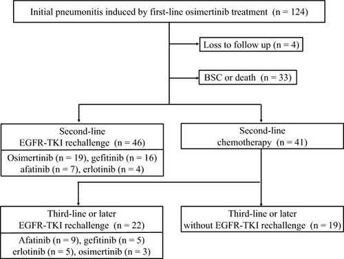 Real-World Data on Subsequent Therapy for First-Line Osimertinib-Induced Pneumonitis: Safety of EGFR-TKI Rechallenge (Osi-risk Study TORG-TG2101)