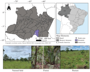 Organic Carbon and Formation of Soil Aggregates on Areas of Natural Vegetation Converted to Pasture in Southern Amazonas