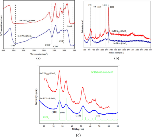 Synthesis of Sn-based nanocomposites using waste polyethylene terephthalate (PET) for the electrochemical reduction of CO2 to formate