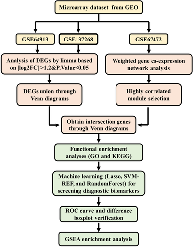 CDC167 exhibits potential as a biomarker for airway inflammation in asthma