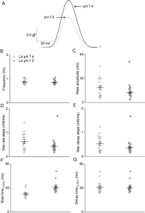 Extracellular acidification reveals the antiarrhythmic properties of amiodarone related to late sodium current-induced atrial arrhythmia