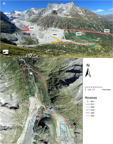 Glacier retreat triggers changes in biodiversity and plant–pollinator interaction diversity