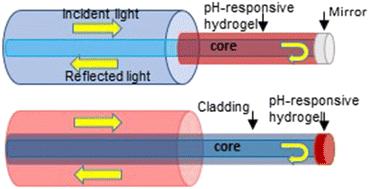 Fiber-optic probes for real-time pH monitoring†