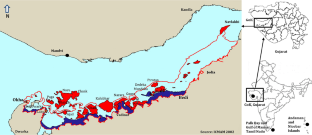 The Distribution of Dugongs and the Status of Seagrass in the Gulf of Kachchh, Gujarat, India