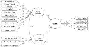 Life Satisfaction and the Relationship Experience at Family, School, and Neighborhood Levels for Chilean Children