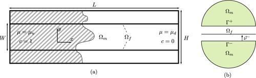 Numerical Simulations of Viscous Fingering in Fractured Porous Media