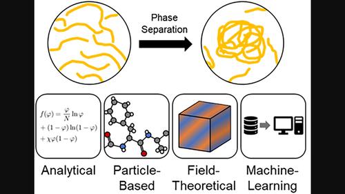 Biomolecular phase separation through theoretical and computational microscope