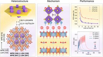 Heterointerface engineering of layered double hydroxide/MAPbBr3 heterostructures enabling tunable synapse behaviors in a two-terminal optoelectronic device†