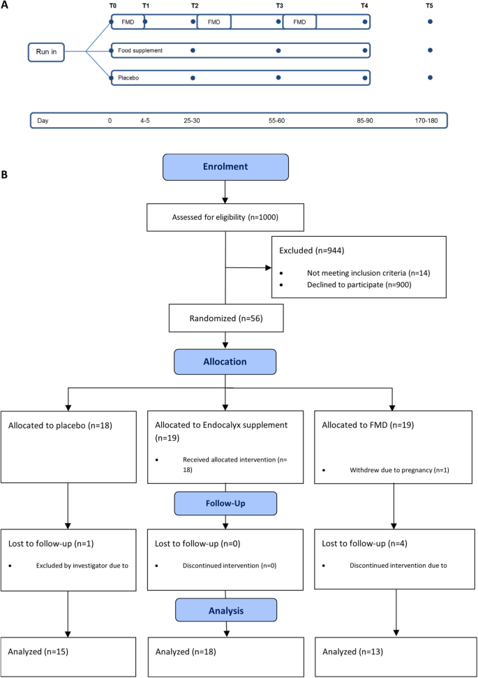 Role of dietary interventions on microvascular health in South-Asian Surinamese people with type 2 diabetes in the Netherlands: A randomized controlled trial