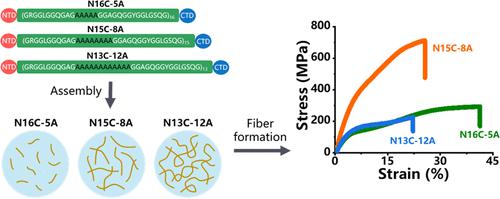 Modulating Polyalanine Motifs of Synthetic Spidroin for Controllable Preassembly and Strong Fiber Formation