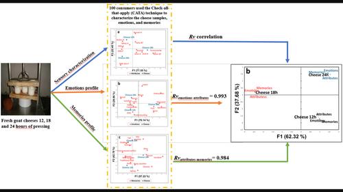 Effect of pressing time on sensory attributes of fresh goat cheese: Correlation with emotions and memories evoked in consumers