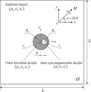 A droplet in a ferrofluid droplet under a rotating magnetic field