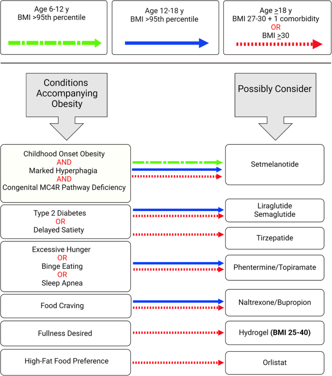 An algorithm for the use of anti-obesity medications