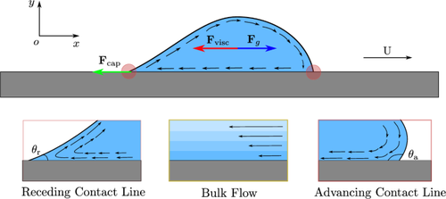 Contribution of wedge and bulk viscous forces in droplets moving on inclined surfaces