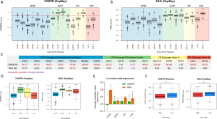 Cleavage and polyadenylation machinery as a novel targetable vulnerability for human cancer