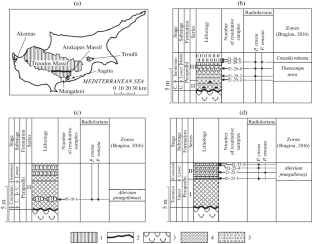 A New Radiolarian Species Pseudodictyomitra venusta sp. nov. from the Coniacian–Santonian Deposits of Perapedhi Formation, Cyprus