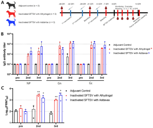 Vaccine Development for Severe Fever with Thrombocytopenia Syndrome Virus in Dogs