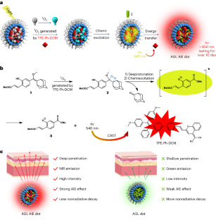 Preparation of AIEgen-based near-infrared afterglow luminescence nanoprobes for tumor imaging and image-guided tumor resection