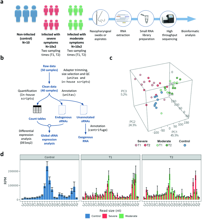 SARS-CoV-2 remodels the landscape of small non-coding RNAs with infection time and symptom severity