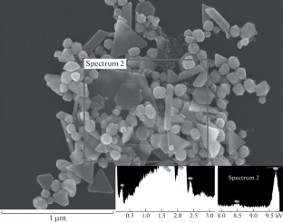 The Effect of Self-Assembly of Nanoparticles under a Plasma Discharge in a Capillary Electrode