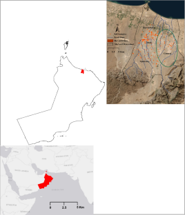 Dam impacts on plant communities based on sediment delivery ratio (InVEST-SDR): Wadi Ma’awil catchment of Oman