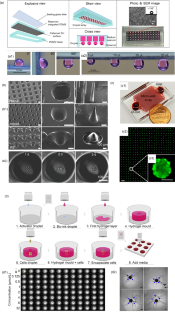 Spheroid construction strategies and application in 3D bioprinting