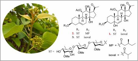 Two new pregnane glycosides from the flower buds of Dregea volubilis