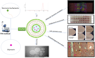 Exploring the potential of silymarin-loaded nanovesicles as an effective drug delivery system for cancer therapy: in vivo, in vitro, and in silico experiments