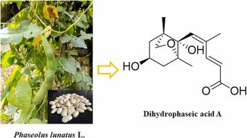 Anti-inflammatory activity of organic acids from the seeds of Phaseolus lunatus L.