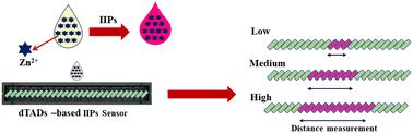 Simple distance-based thread analytical device integrated with ion imprinted polymer for Zn2+ quantification in human urine samples†