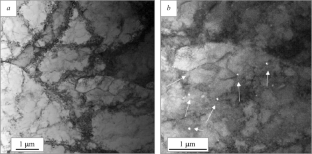 Martensitic Transformation in Austenitic Steel 316L Produced by Additive Technology