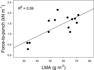 Leaf toughness is a better predictor of herbivory and plant performance than leaf mass per area (LMA) in temperate evergreens