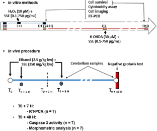 Neuroprotective Effect of Sterculia setigera Leaves Hydroethanolic
            Extract