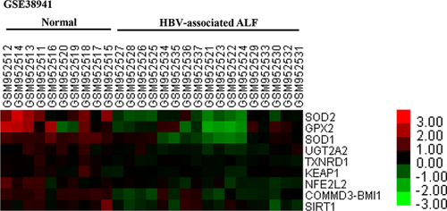 Pyrroloquinoline quinone protects against murine hepatitis virus strain 3-induced fulminant hepatitis by inhibiting the Keap1/Nrf2 signaling