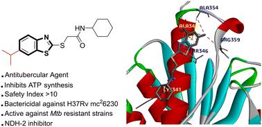 Antitubercular activity of 2-mercaptobenzothiazole derivatives targeting Mycobacterium tuberculosis type II NADH dehydrogenase†