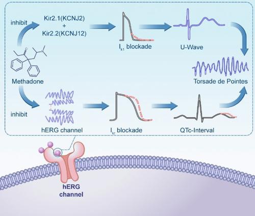 Opioids-Induced Long QT Syndrome: A Challenge to Cardiac Health