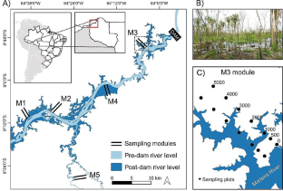 Functional responses of amazonian frogs to flooding by a large hydroelectric dam