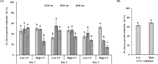 UV-C treatment elicits resistant responses against Botrytis cinerea infection and the improvement of fruit characteristics in grapevines