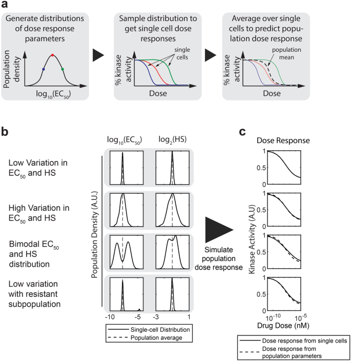 Characterizing heterogeneous single-cell dose responses computationally and experimentally using threshold inhibition surfaces and dose-titration assays