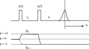 Estimation of Relaxation Times During Free Evolution from the SECSY Signal of an Electron–Nuclear Spin-Coupled System in a γ-Irradiated Malonic Acid Single Crystal