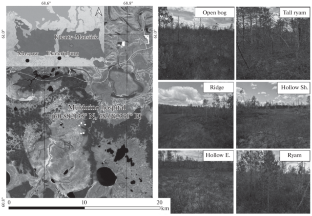 Soil Respiration under a Short-Term Drought on the Example of Typical West Siberian Middle-Taiga Mires