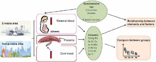 Concentrations and influencing factors of 17 elements in placenta, cord blood, and maternal blood of women from an e-waste recycling area