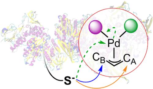 Reactivity of Palladium(II)-η3-Allyl Complexes with Chalcogenolates: A Density Functional Study of Their Antitumor Implications