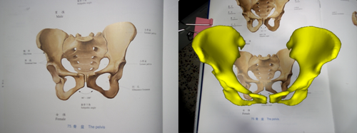 Augmented reality presentation system of skeleton image based on biomedical features