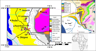 Depositional facies and palynofacies provenance reconstruction of the Danian Nsukka Formation, Southeastern Nigeria