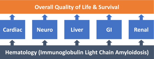 Pathway for Development and Validation of Multi-domain Endpoints for Amyloid Light Chain (AL) Amyloidosis