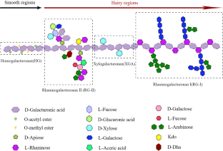 Pectin: Health-promoting properties as a natural galectin-3 inhibitor